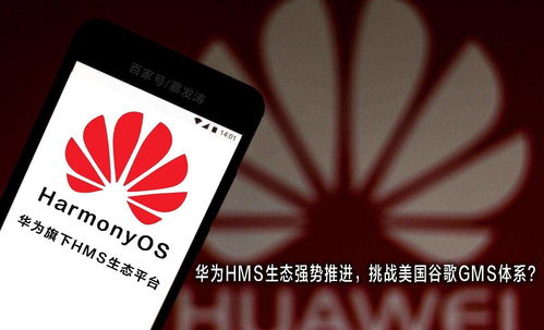 国外华为手机怎么支付 国外华为手机怎么支付