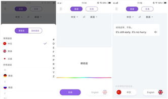 华为手机页面怎么翻译