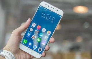 vivo手机定位华为手机怎么定位 vivo手机定位华为手机怎么定位