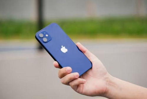 华为手机拍照怎么调正 华为手机拍照怎么调正