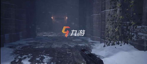 mgbuster游戏攻略 VS 生化危机8开局游戏攻略