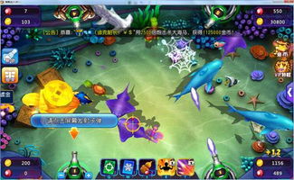 游戏武林攻略 VS 打鱼海怪游戏攻略