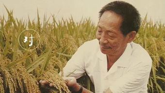 男子诋毁袁隆平科研成果被刑拘 男子诋毁袁隆平科研成果被刑拘