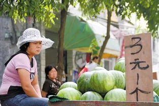 河南部分西瓜价格跌至1毛多一斤 河南部分西瓜价格跌至1毛多一斤