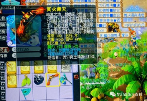 模拟美利坚游戏攻略 VS 桃子老王游戏攻略 模拟美利坚游戏攻略 VS 桃子老王游戏攻略