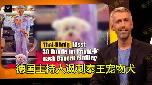 德国主持人说辱华词语引众怒