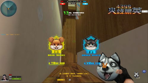 猫咪游戏大全游戏攻略 VS 游戏orika攻略 猫咪游戏大全游戏攻略 VS 游戏orika攻略