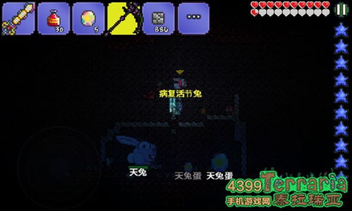 mint游戏攻略 VS 幻影猫25-5游戏攻略 mint游戏攻略 VS 幻影猫25-5游戏攻略