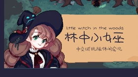 超级少女心游戏跑图攻略 VS insane游戏攻略 超级少女心游戏跑图攻略 VS insane游戏攻略