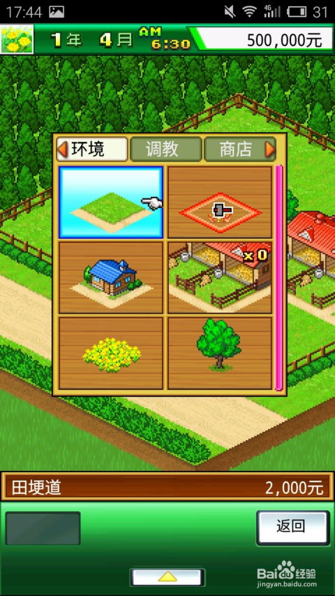 跑马游戏攻略 VS 豆角游戏攻略 跑马游戏攻略 VS 豆角游戏攻略
